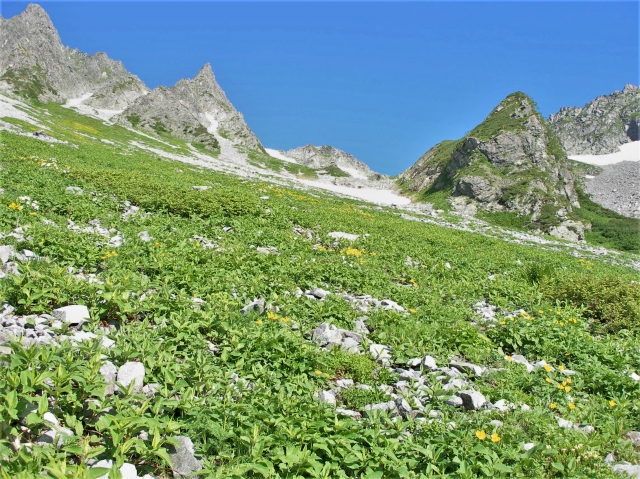 夏山