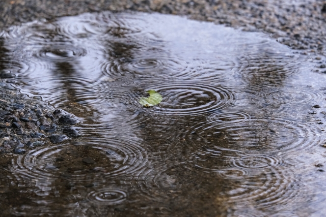 雨模様