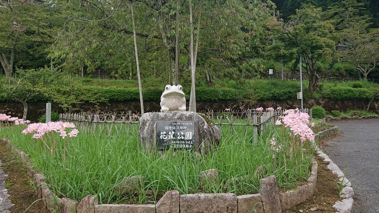 花筐公園のかえる