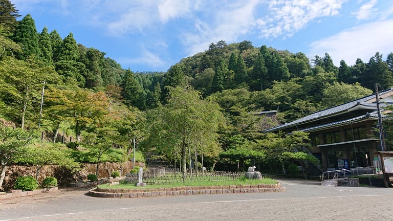 花筐公園夏